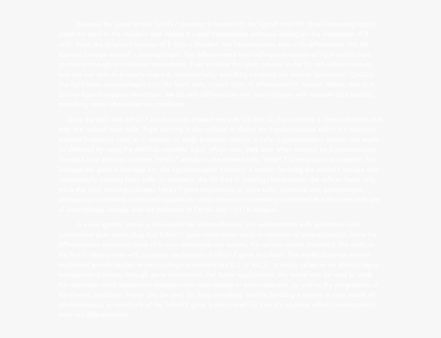 Colorfulness, HD Png Download