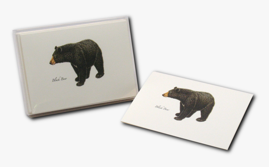 Transparent Black Bear Png - Grizzly Bear, Png Download