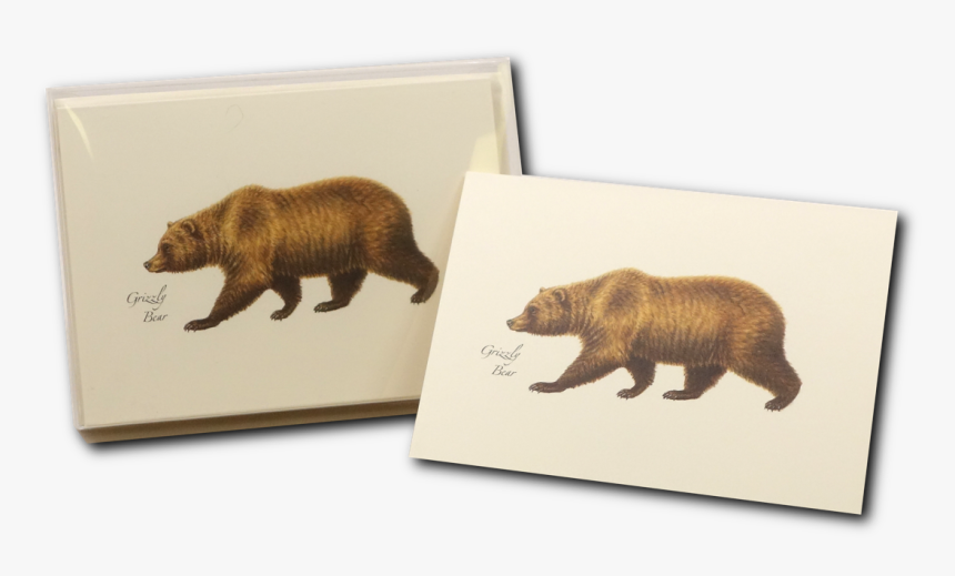 Grizzly Bear, HD Png Download