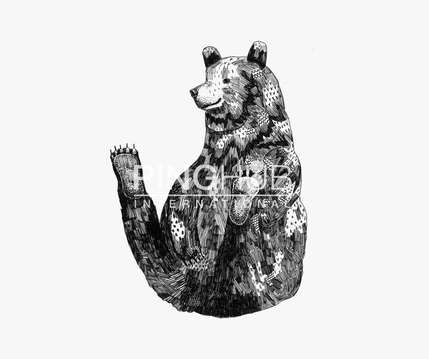 Grizzly Bear , Png Download - Kodiak Bear, Transparent Png