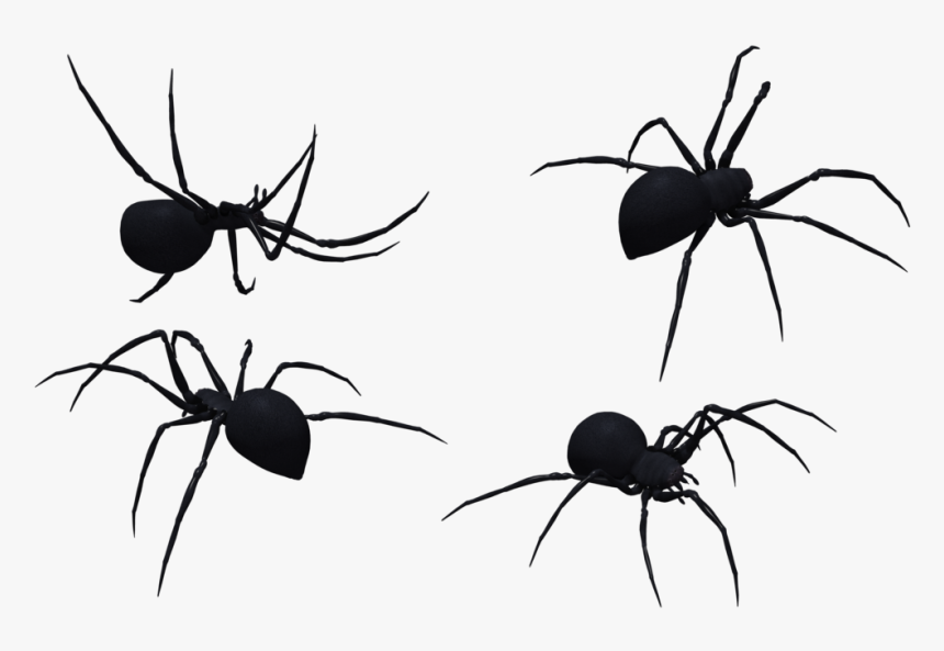 Black Widow Spider Art - Spider, HD Png Download