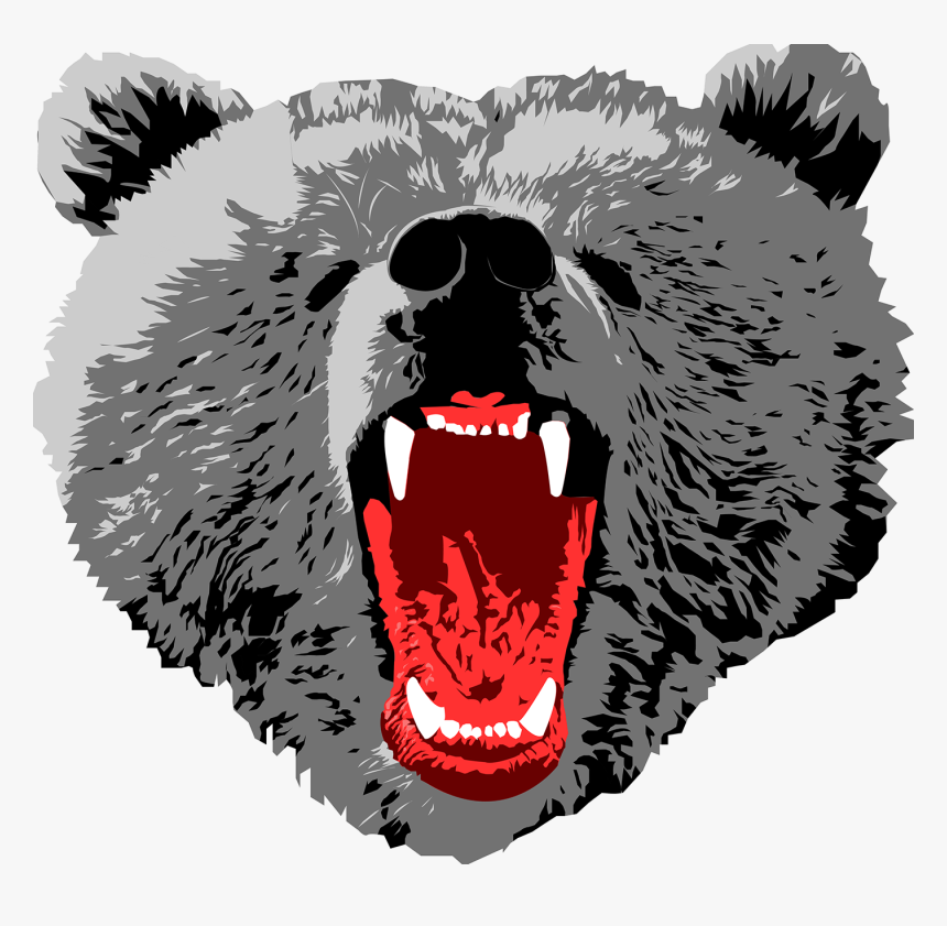 Sign Up To Join The Conversation - Grizzly Bear Png Face, Transparent Png