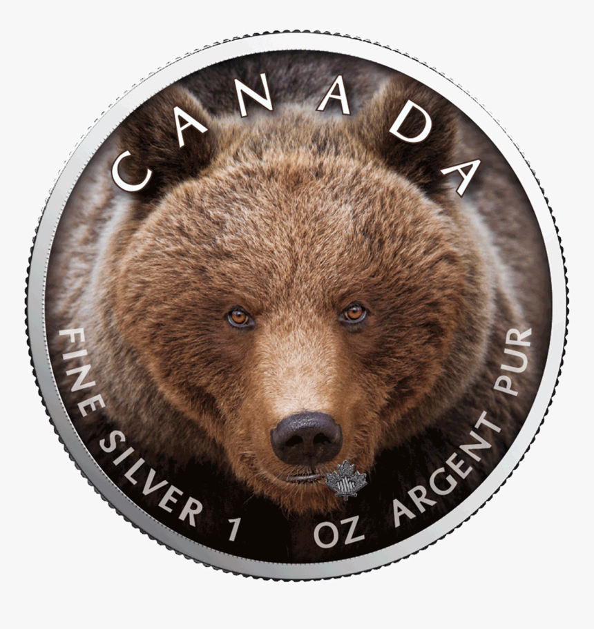 Ibca201956 1 - Grizzly Bear, HD Png Download