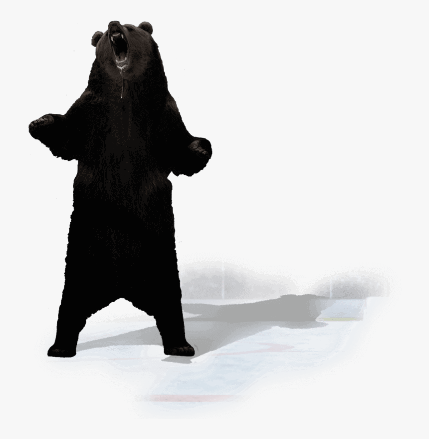 Punxsutawney Phil - Standing Black Bear Png, Transparent Png
