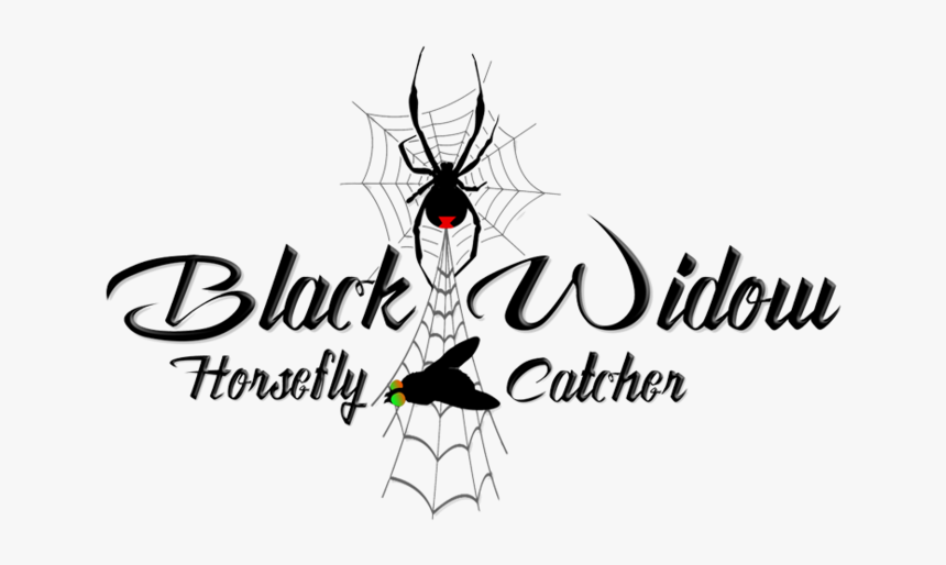 Download - Graphic Design, HD Png Download