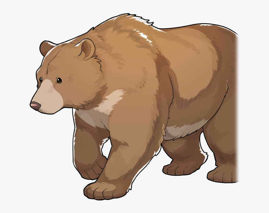 120028 01 Base Portrait - Grizzly Bear, HD Png Download
