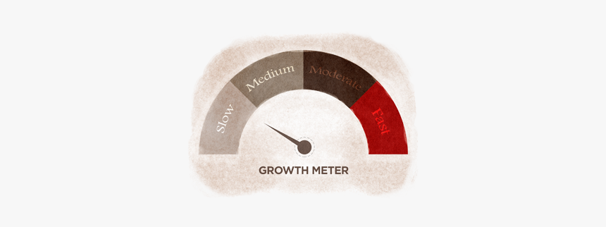 Gauge, HD Png Download