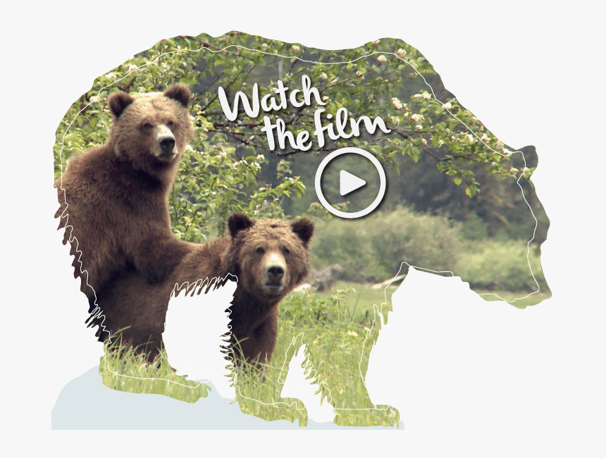 Grizzly Bear - First Nations Hunting Animals, HD Png Download