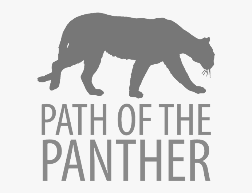 Confirm That You Like This - Dillinger Escape Plan Plagiarism, HD Png Download