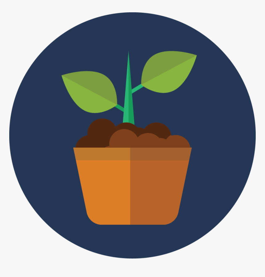 Growth, HD Png Download