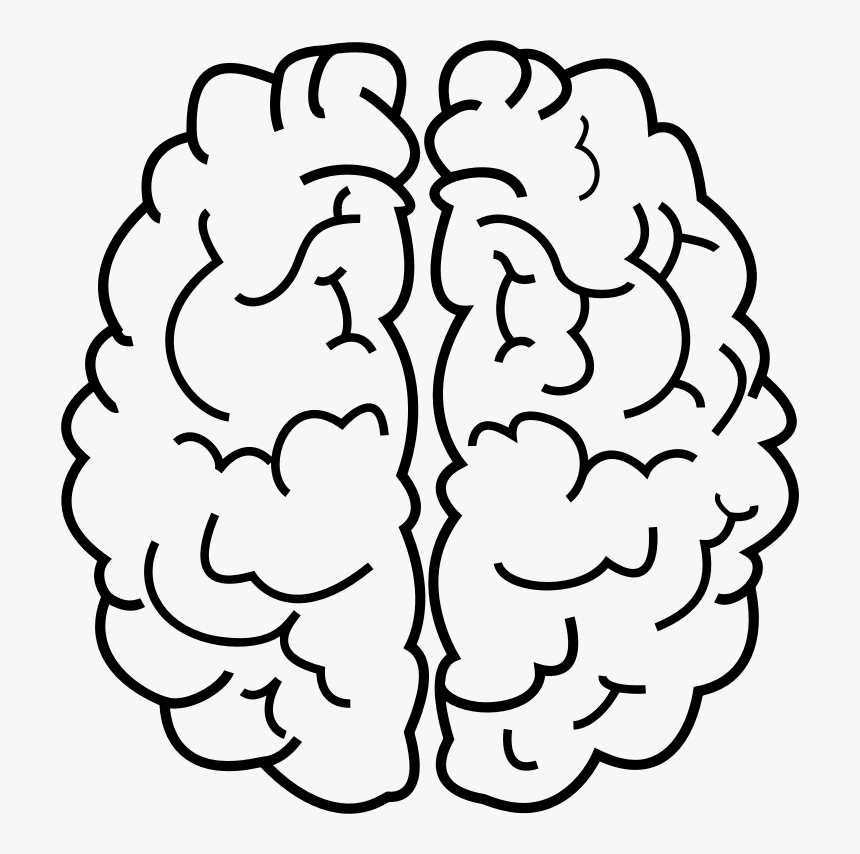 Clipart Brain Imagination - Brain Lineart, HD Png Download