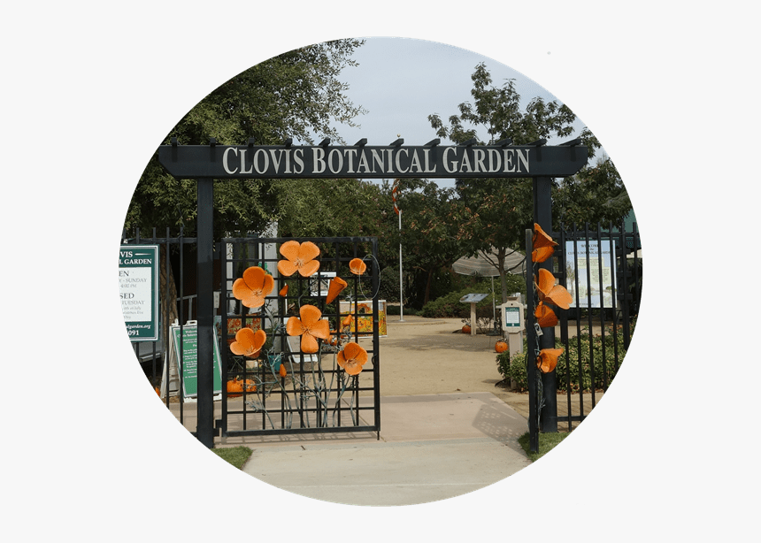 Arch, HD Png Download