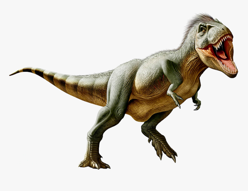 Tyrannosaurus, HD Png Download