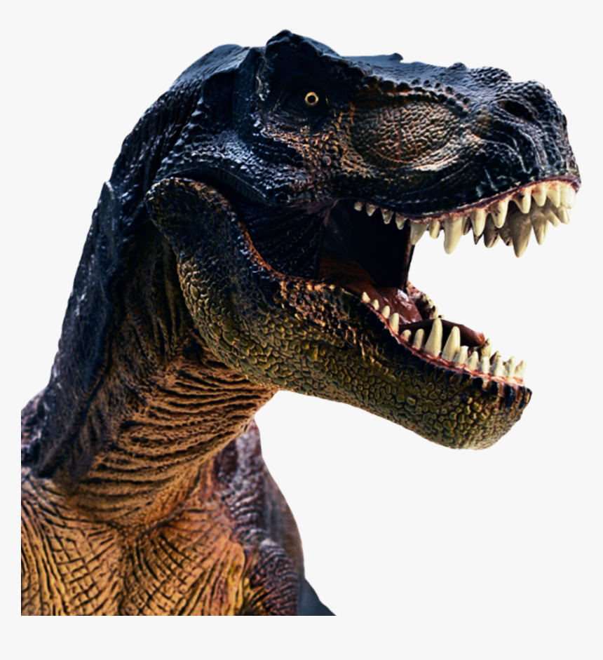 T Rex Head Png, Transparent Png