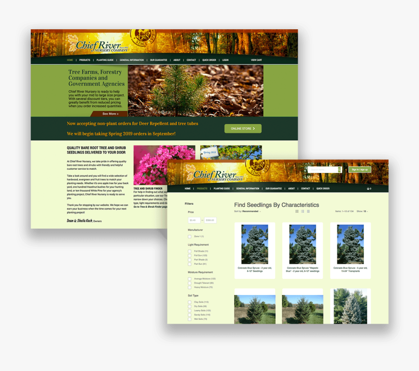 Plant Nursury Case Study, HD Png Download