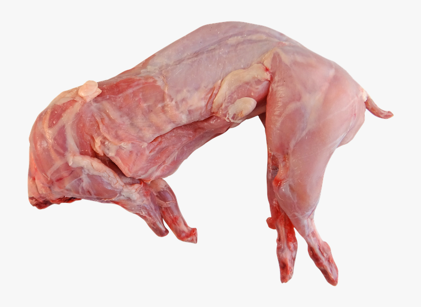 Rabbit, Whole, Raw, Cooking, Food, Meat, Uncooked - Rabbit Meat, HD Png Download