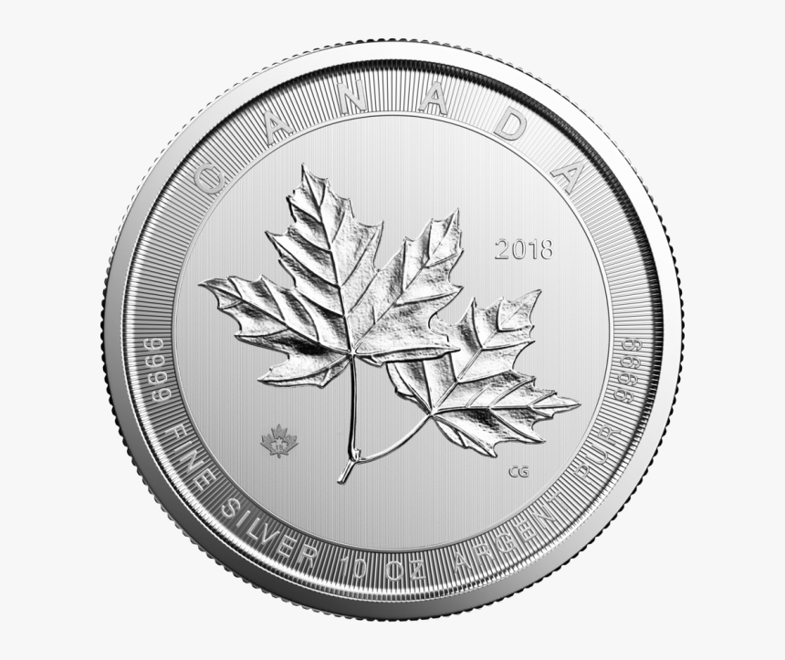 Canada 50 Dollars Snowy Owl, HD Png Download