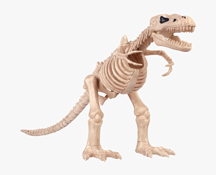 Halloween T Rex Skeleton, HD Png Download