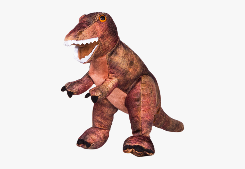 Punxsutawney Phil, HD Png Download