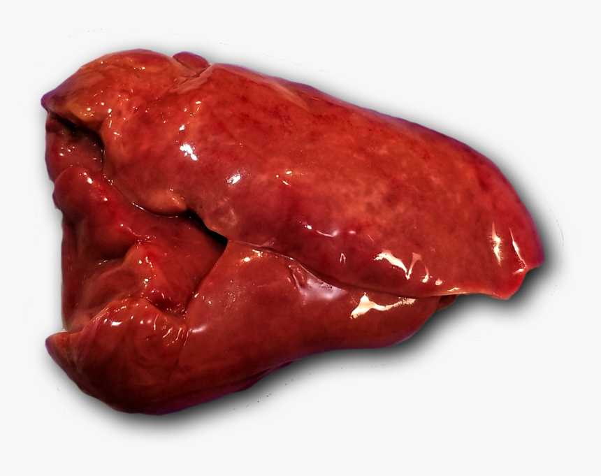 Liver, HD Png Download