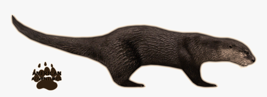 Otter Png Background Image - Zoo Tycoon 2 Otter, Transparent Png