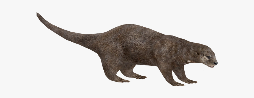 Otter Png Pic - Otter Zoo Tycoon 2, Transparent Png