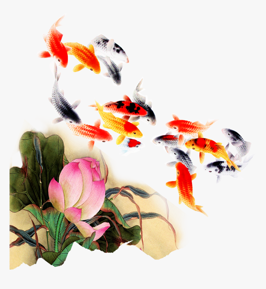 Computer File Kam Transprent Png Petal Organism - Transparent Background Koi Fish Png, Png Download
