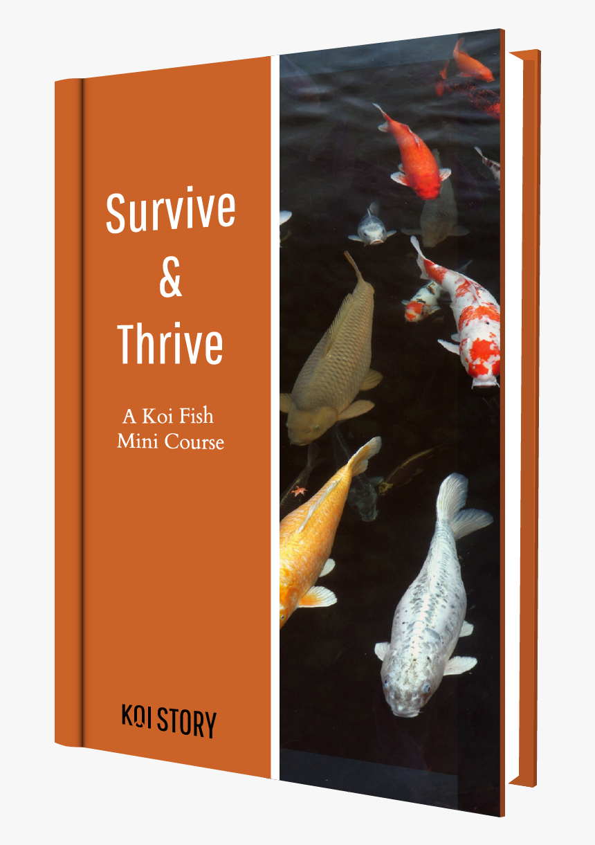 Koi Story Ebook Cover - Carpe Japonaise, HD Png Download