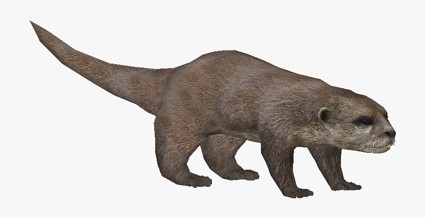 Asianotterludo - Zoo Tycoon Otter Png, Transparent Png