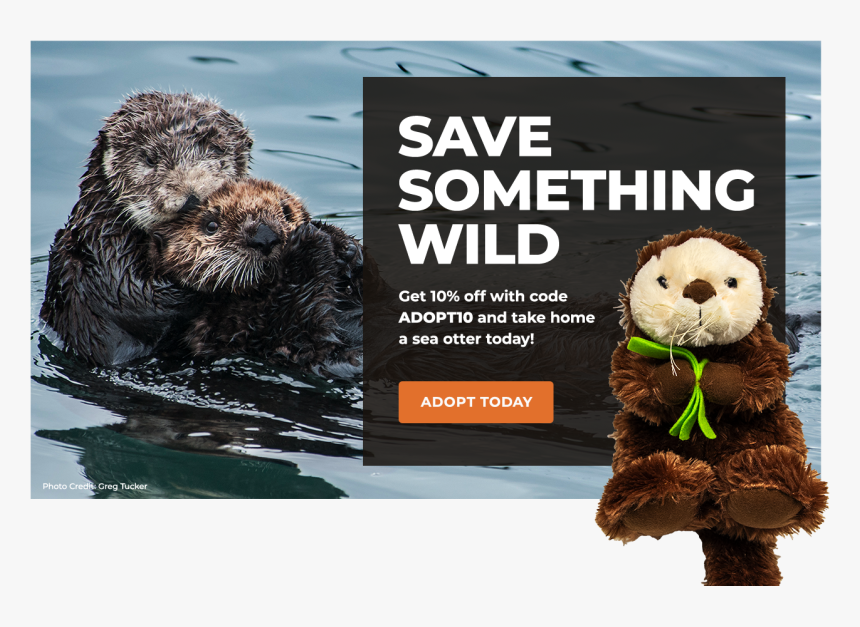 Adopt A Sea Otter - Snowy Owl Owls Habitat, HD Png Download