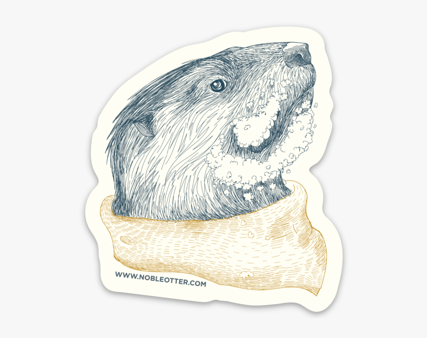 Punxsutawney Phil, HD Png Download