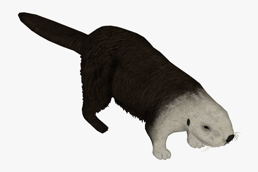 Northern Sea Otter , Png Download - Punxsutawney Phil, Transparent Png
