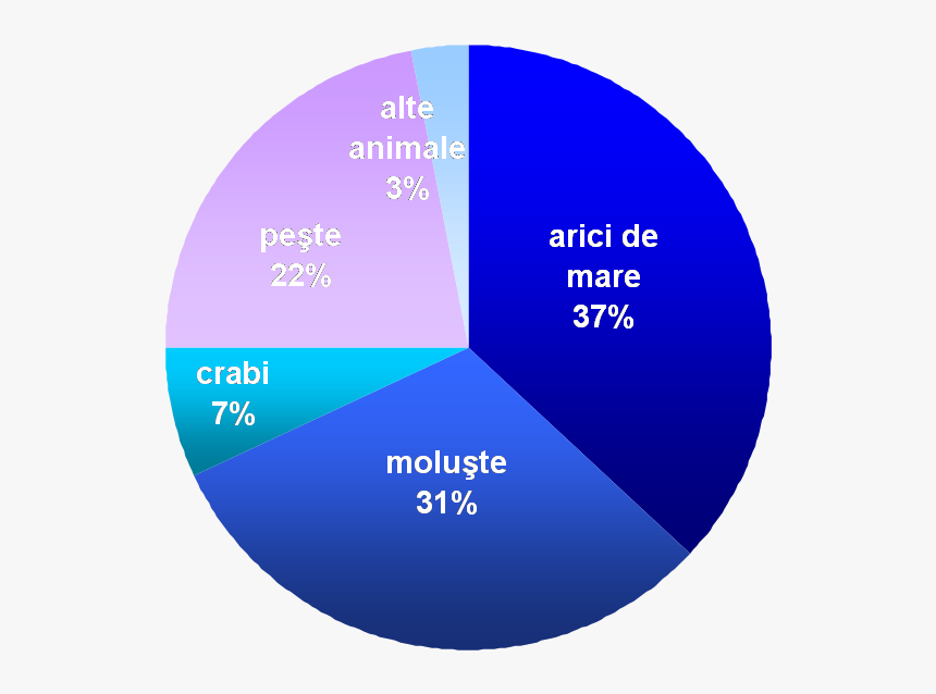 Northern Sea Otter Food Distribution Ro - Sea Otter Food, HD Png Download