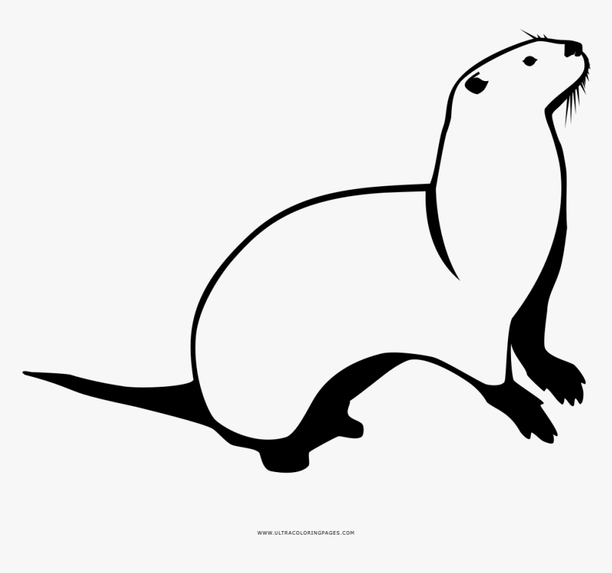 Otter Coloring Page - Otter, HD Png Download