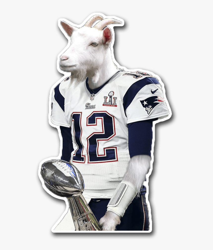 Tom Brady Goat - Tom Brady Goat Head, HD Png Download