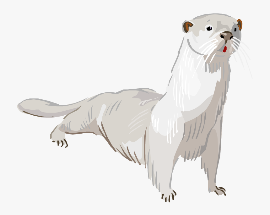 Otter Png Transparent - Dog, Png Download