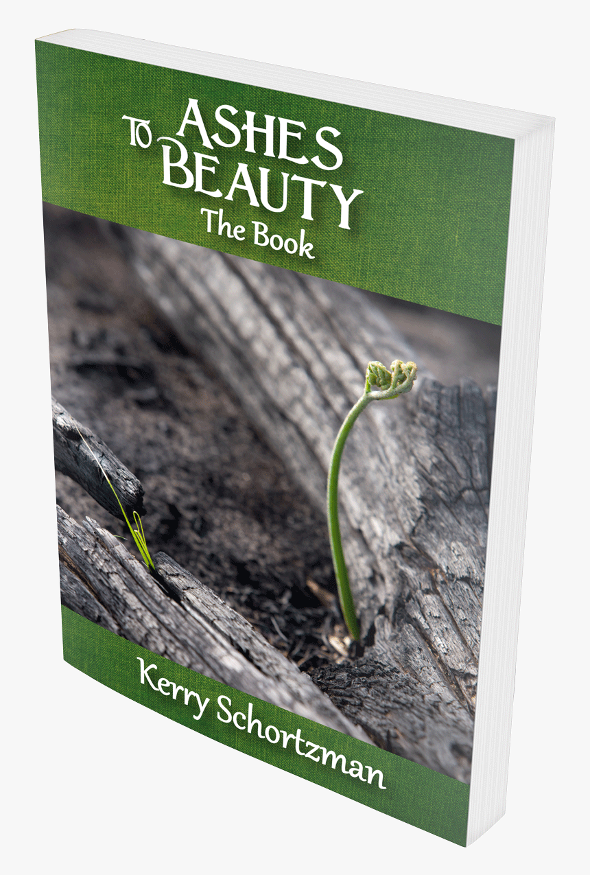Ashes To Beauty The Book By Kerry Schortzman - Flyer, HD Png Download