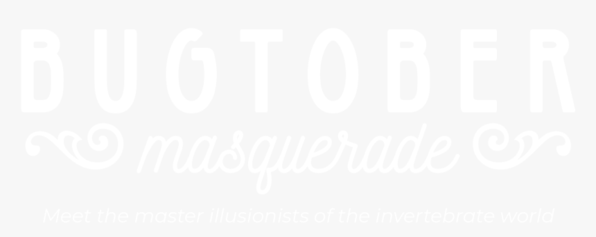 Class Main Hero Slide Img - Calligraphy, HD Png Download