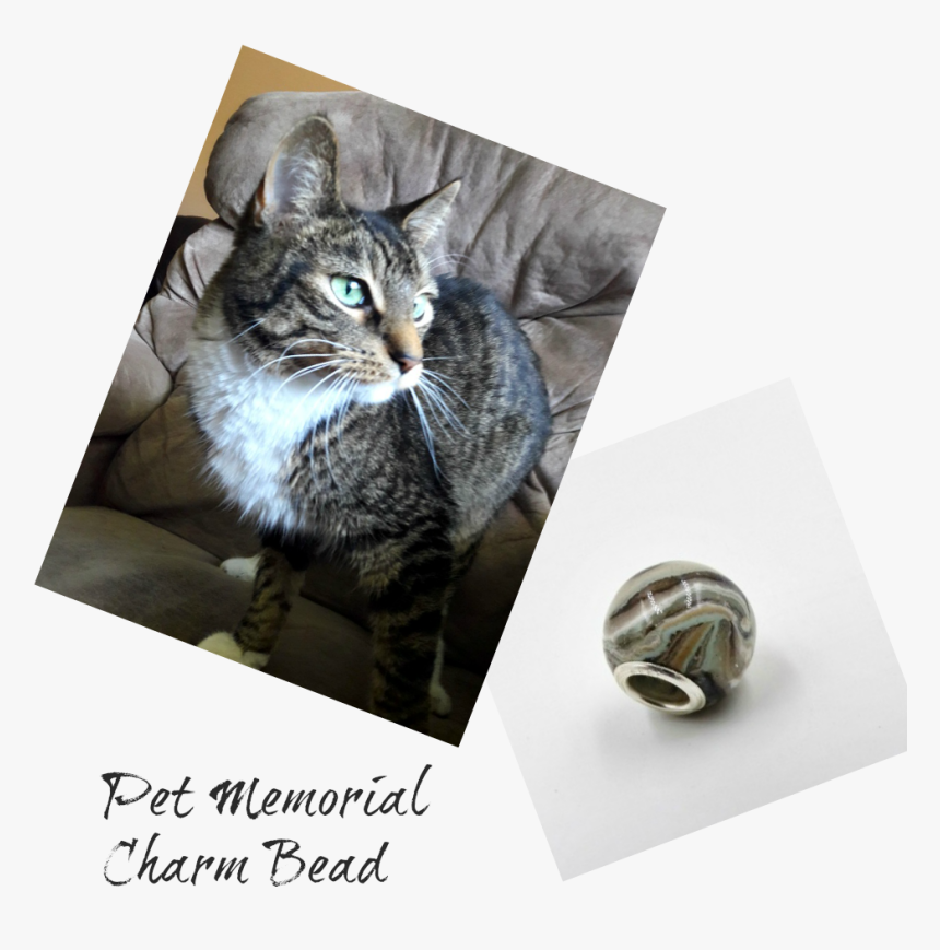 Cremation Beads, Charm Bead With Ashes 
 Class Lazyload - Tabby Cat, HD Png Download