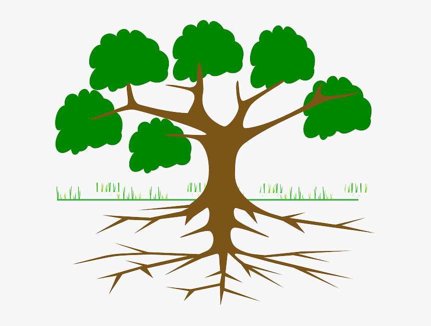 Tree, Branches, Root, Eco, Ecology, Nature, Plant - Root Cause Tree Analysis, HD Png Download