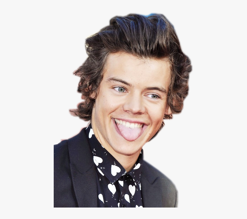 Harry Styles - Harry Styles Transparent Png, Png Download