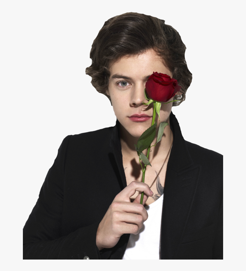 Harry Styles With Flower, HD Png Download