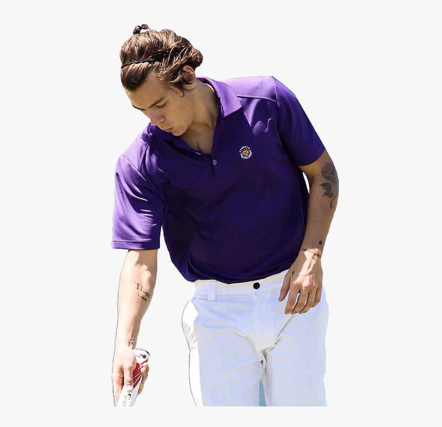 Harry Styles Transparents
like Or Reblog X - Professional Golfer, HD Png Download