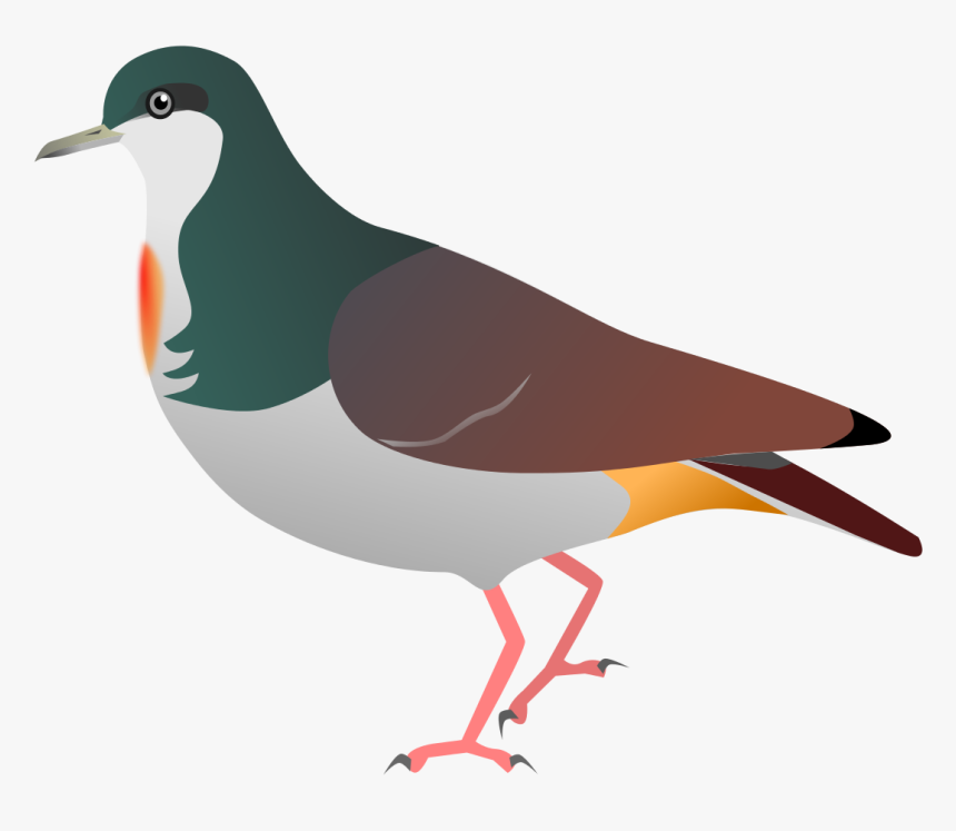 Sulu Bleeding Heart Pigeon , Png Download - Mindoro Bleeding Heart Sketch, Transparent Png