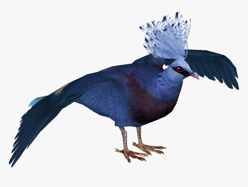 Victoria Crowned Pigeon - Victoria Crowned Pigeon Png, Transparent Png