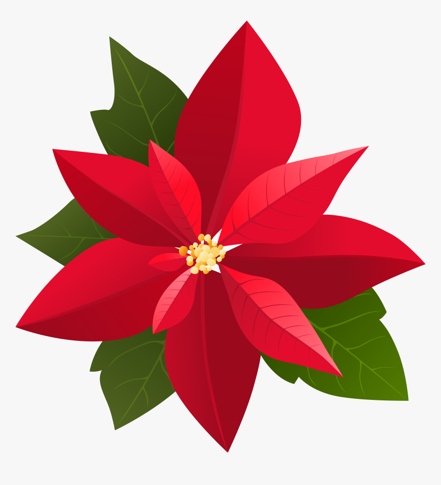 Garland Clipart Poinsettia, HD Png Download