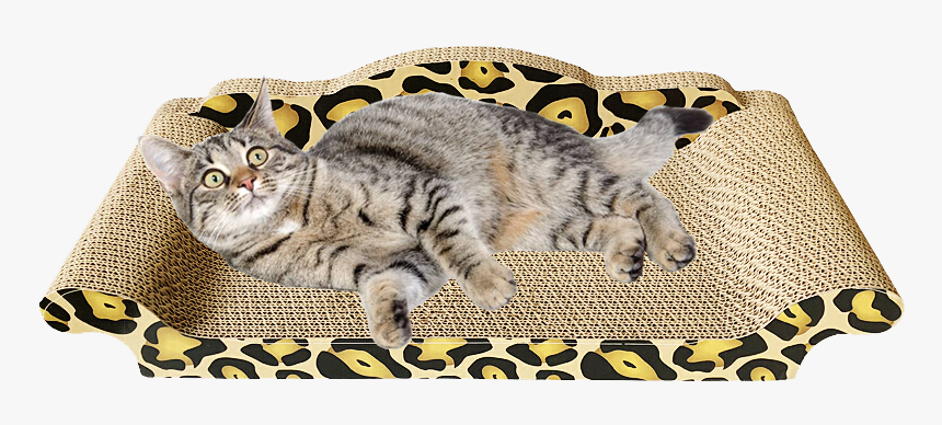 Cat Grab Board Pet Cat Toy Cat Sofa Cat Nest Corrugated - Dragon Li, HD Png Download