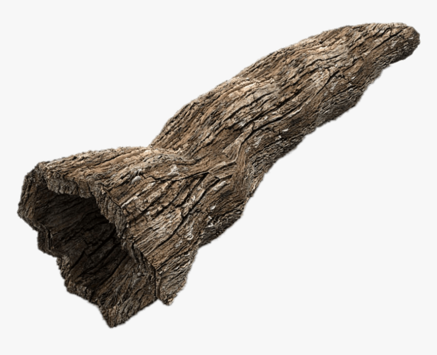 Hollow Tree Trunk - Tree Trunks Png, Transparent Png