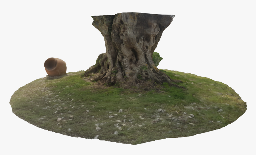Tree Trunk, An Old Treasure From The Nature Born - Tree Stump, HD Png Download