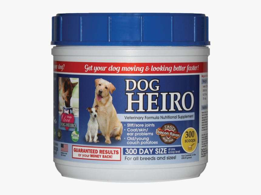 Companion Dog, HD Png Download